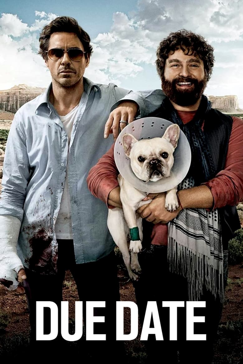 فيلم Due Date