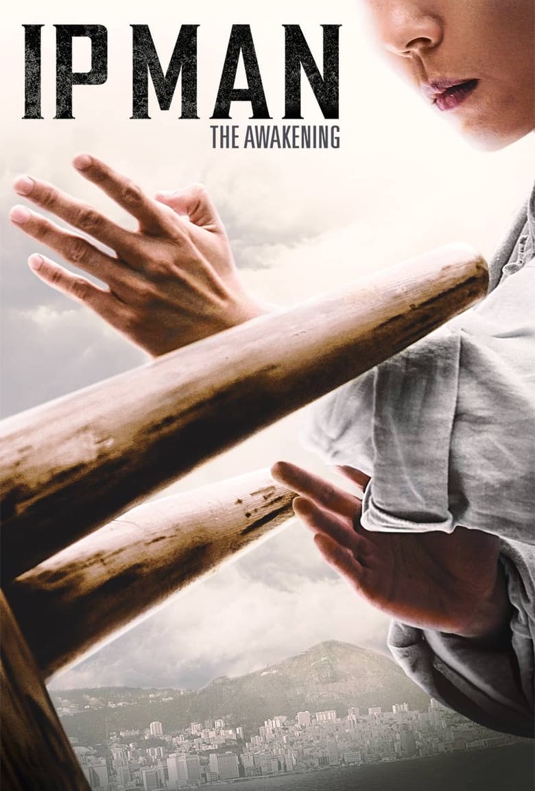 فيلم Ip Man: The Awakening