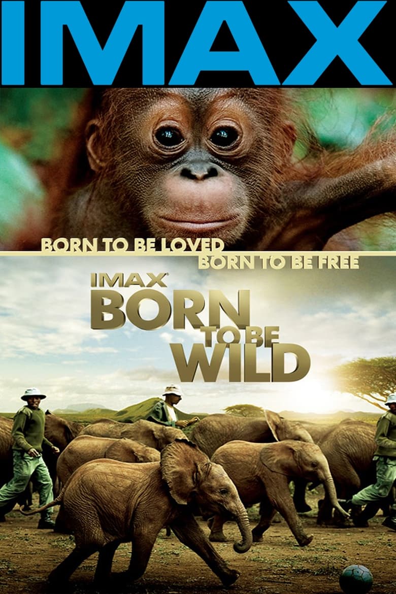 فيلم Born to Be Wild