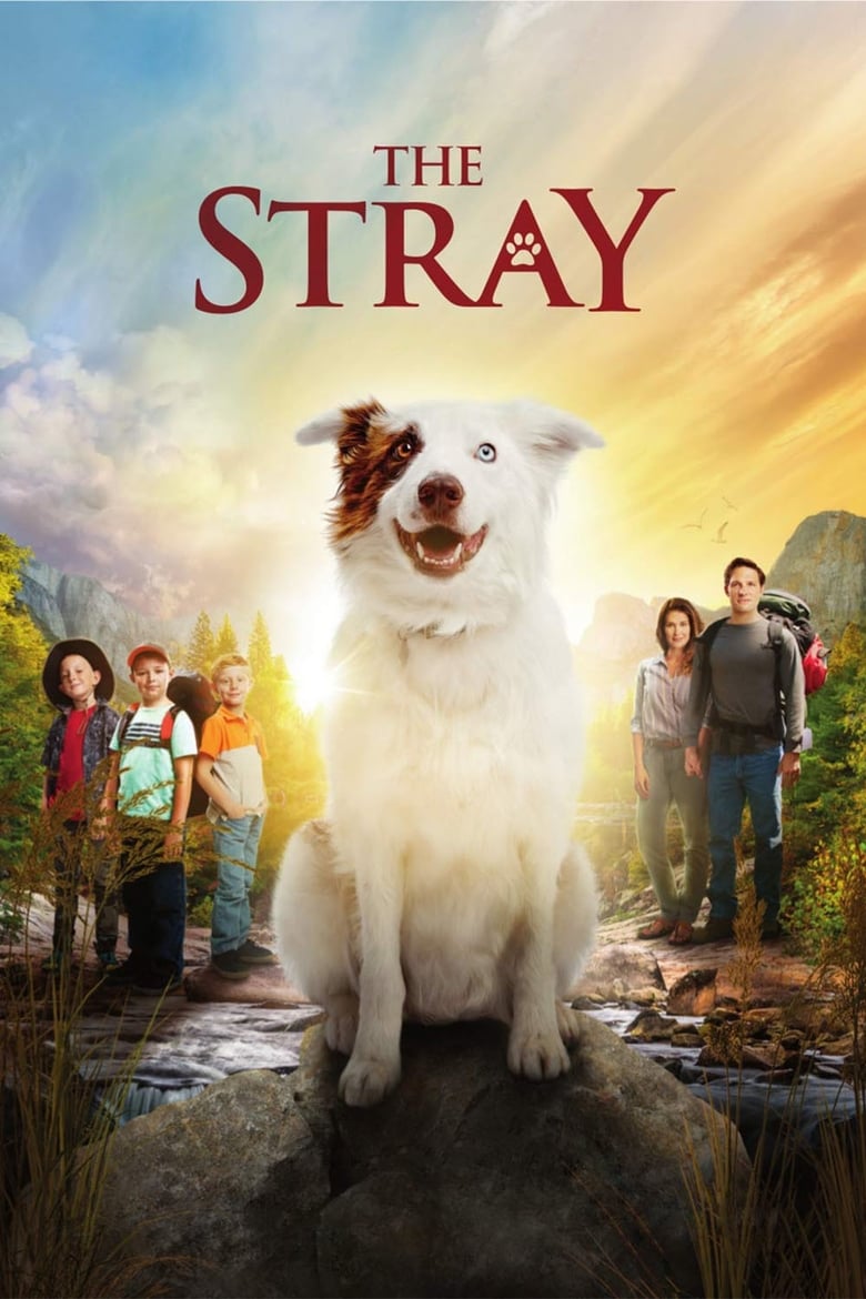 فيلم The Stray
