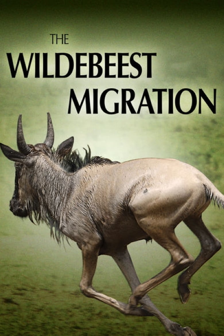 فيلم The Wildebeest Migration: Nature’s Greatest Journey