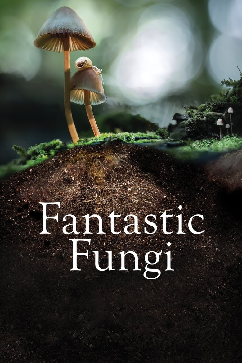 فيلم Fantastic Fungi
