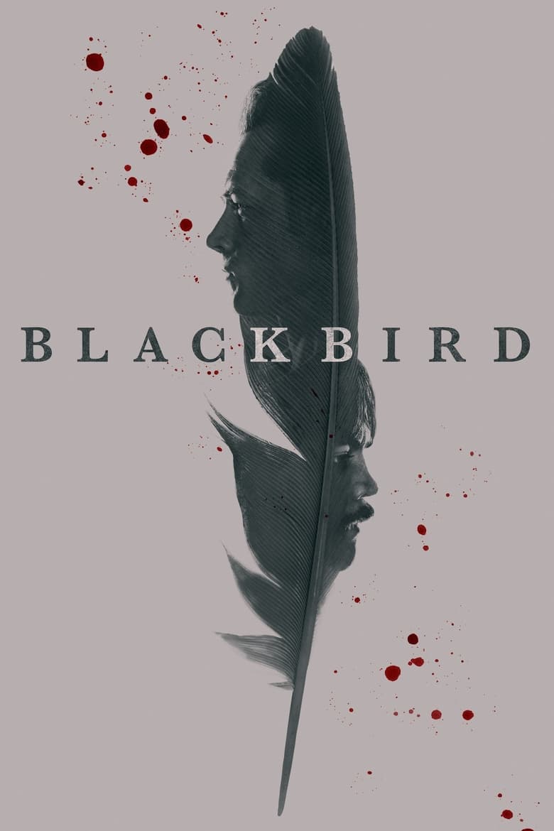 مسلسل Black Bird