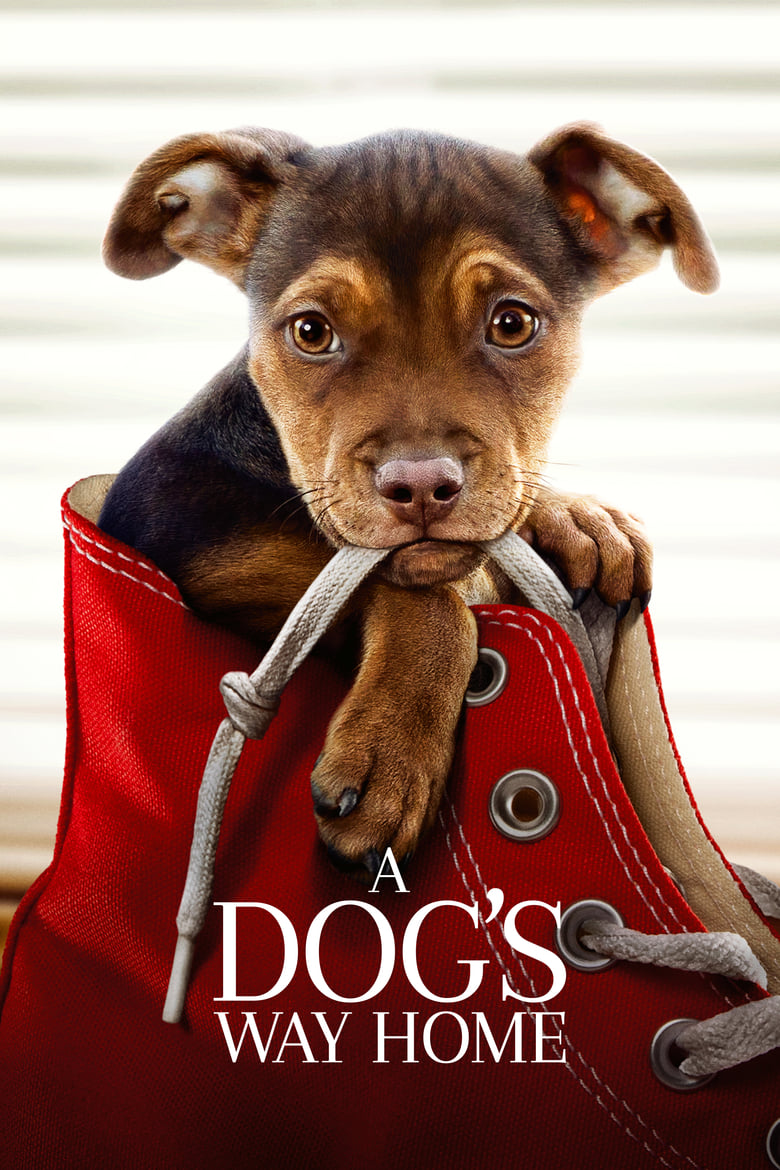 فيلم A Dog’s Way Home