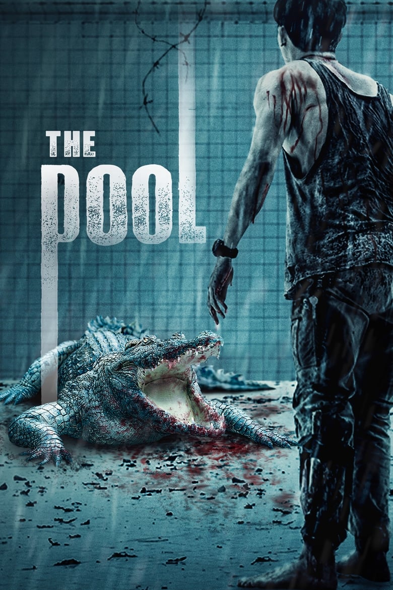 فيلم The Pool
