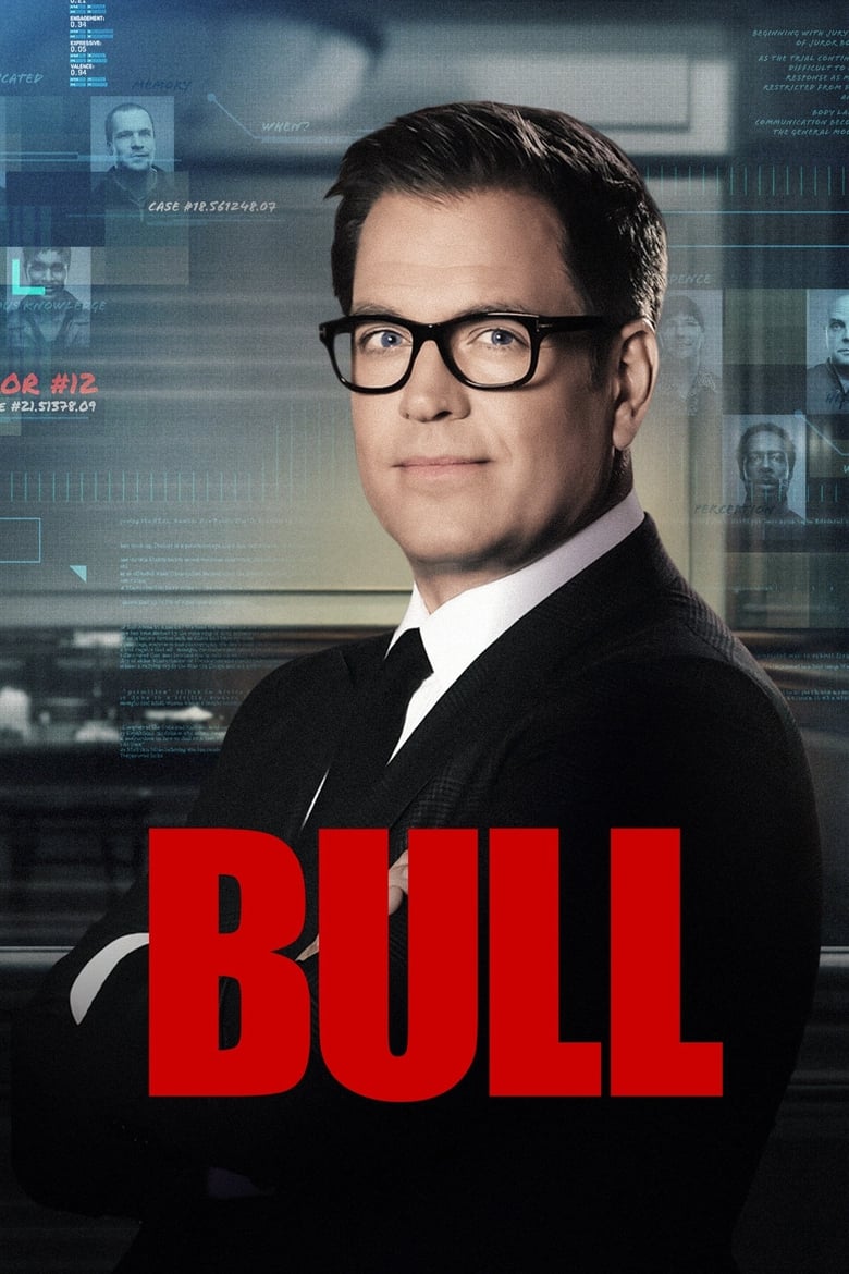 مسلسل Bull