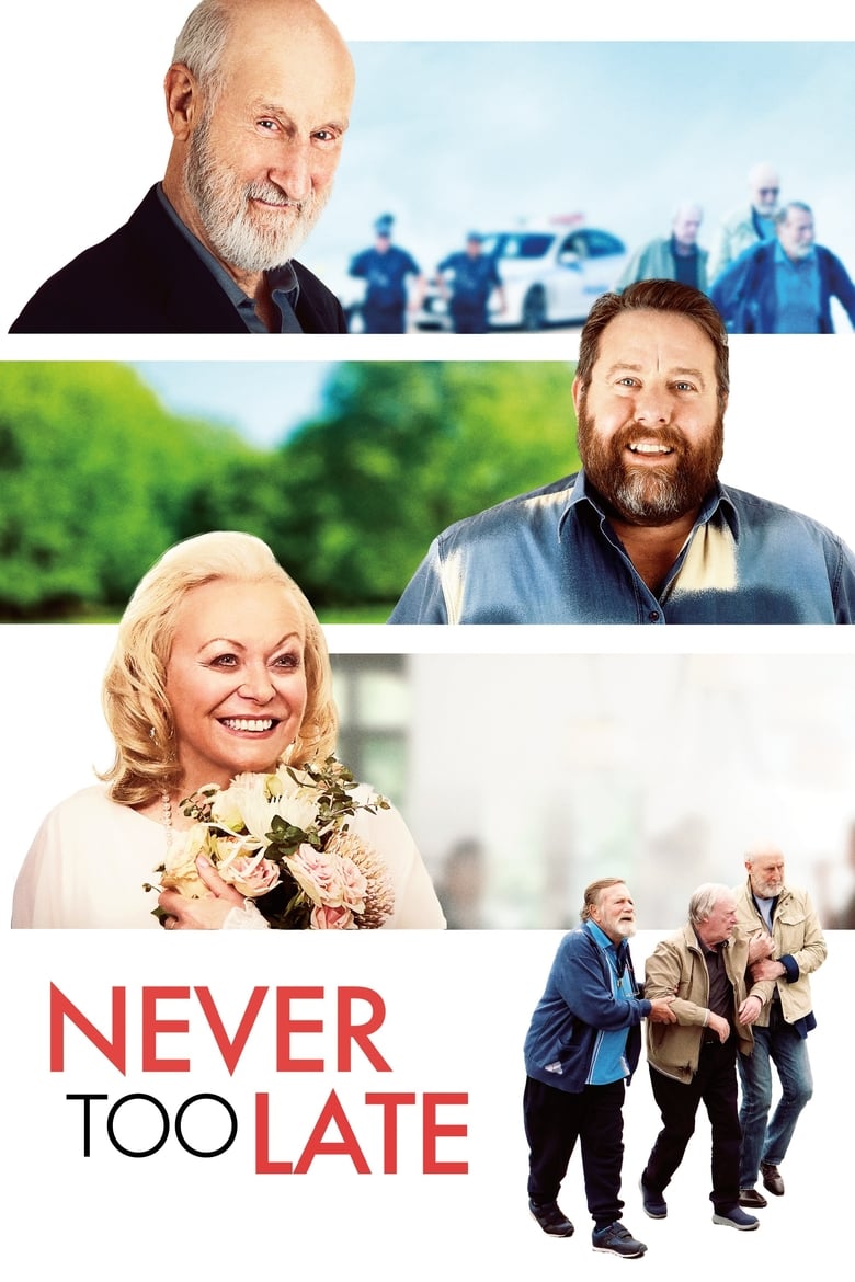 فيلم Never Too Late