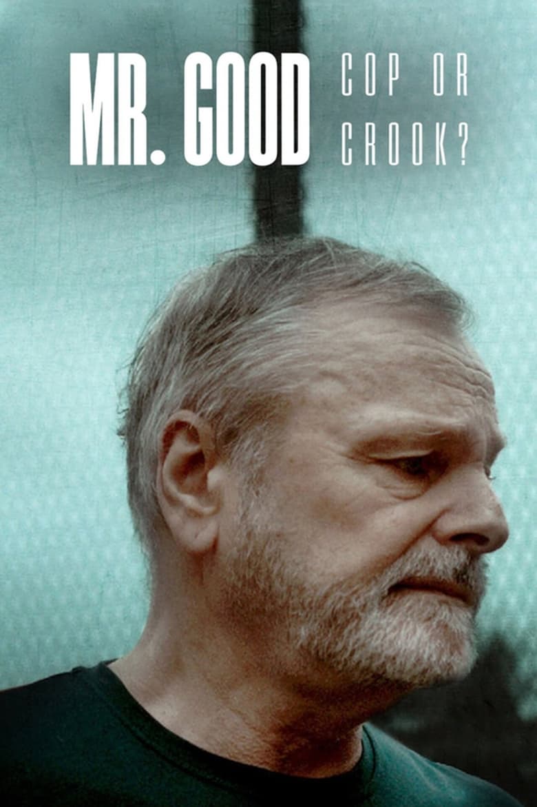 مسلسل Mr. Good: Cop or Crook?