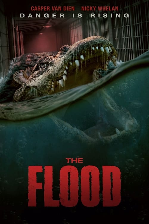 فيلم The Flood